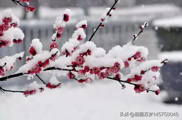 一眼看中的房子是有缘吗,你有没有看一眼就爱上的文物？