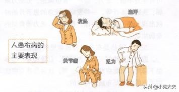 布病终身携带一辈子痛苦:牛群得了布病，会自愈吗？