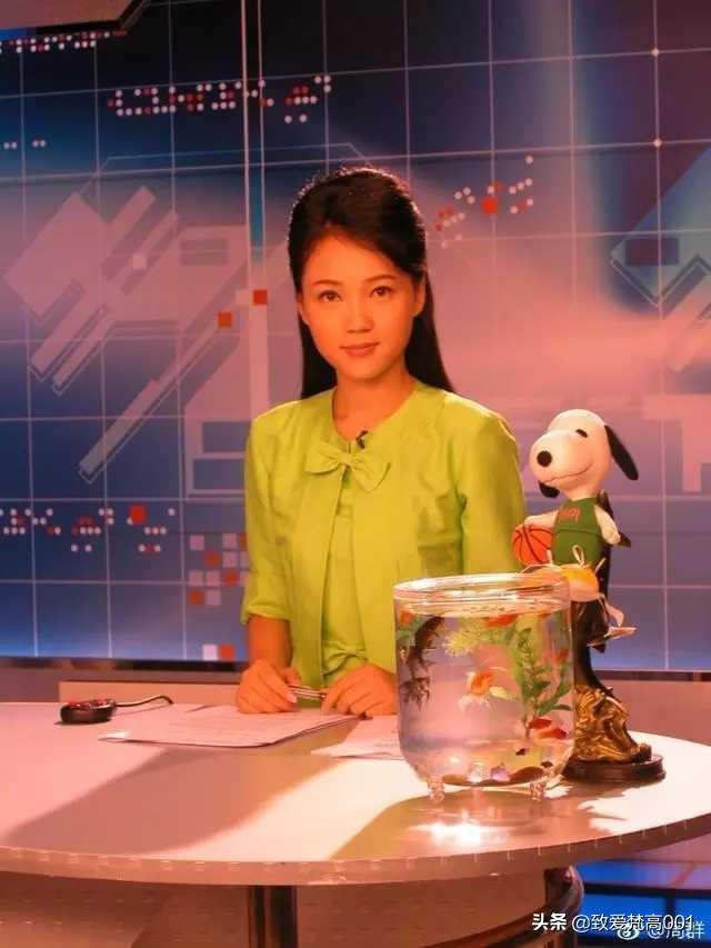 周群老公:安徽卫视的一哥一姐是谁？