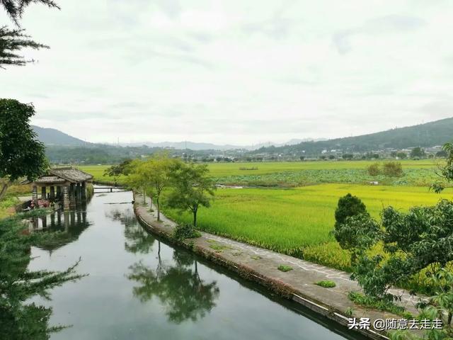 云南观鸟会:高黎贡山的最佳观鸟路线是怎样的？