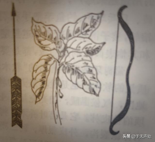 狂犬与蛮娇小说下载:古代士兵作战，为什么不用“毒箭”射杀敌人？