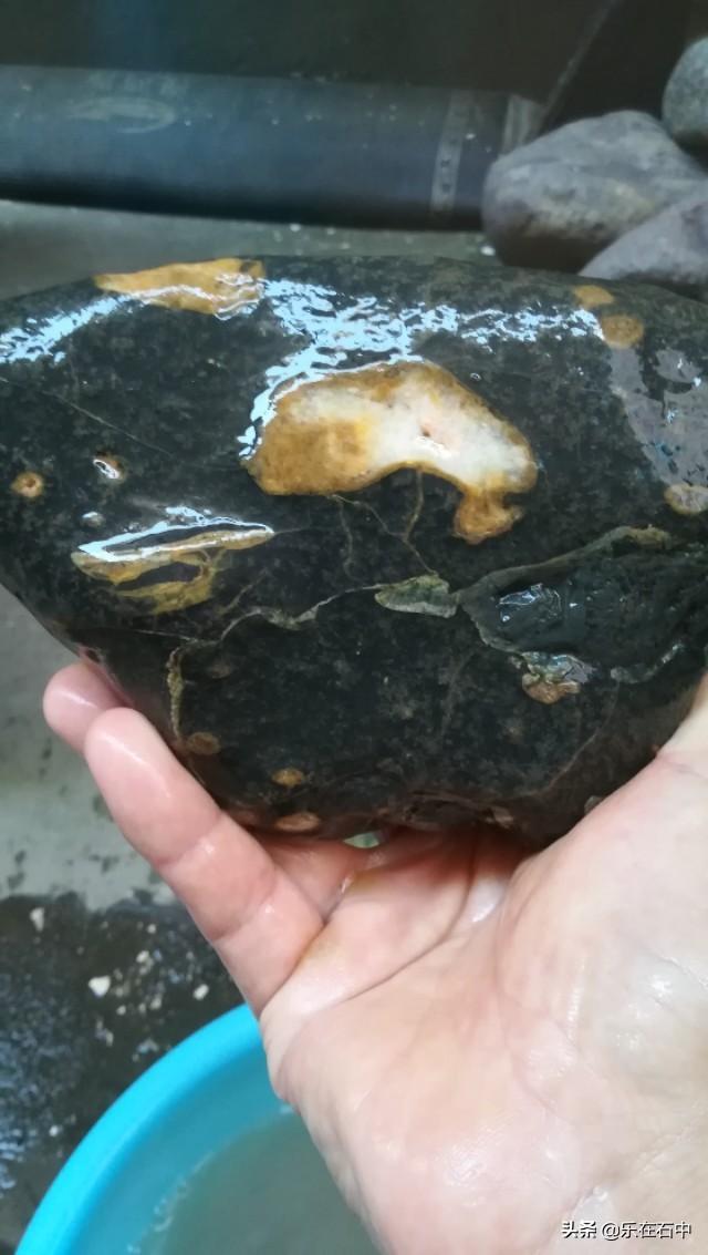 晒晒你的文玩宝贝。都是怎么保养的？插图99