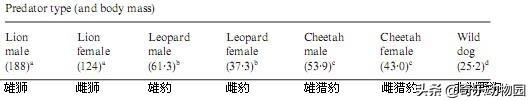 苏门答腊犀牛最新数量:现在全世界还有多少犀牛？