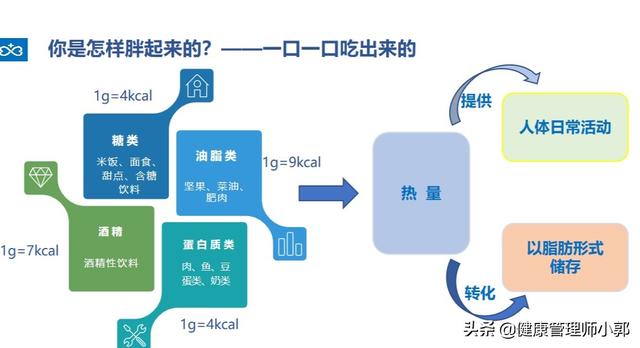 一天吃一块巧克力会长胖吗？(巧克力减肥)