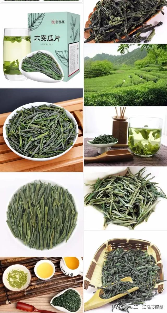 望推荐！安徽有哪些品种的茶叶？