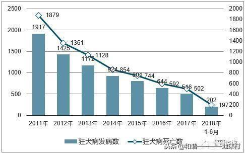 猫在哪个国家内受到严格保护:为什么猫，狗属于狂犬病高风险动物可以允许养？