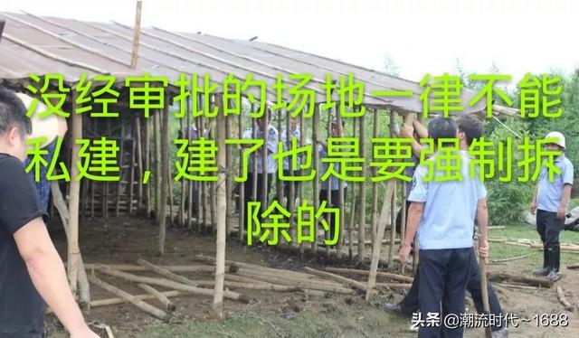 养殖场牛用b超多少钱:我要建一个小型养殖场养牛的20头建牛舍要多少钱？