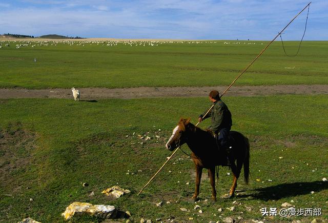 边境之旅狸猫哪里多:2021年6月份去呼伦贝尔大草原旅游哪里比较好玩？ 边境之旅狸猫哪里多