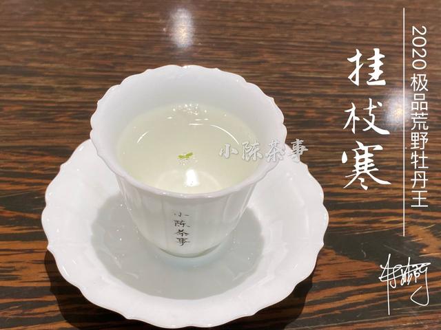 生茶，如何冲泡普洱生茶比较好？