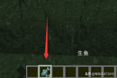 野猫驯养法txt资源:Minecraft我的世界野猫怎么驯服？