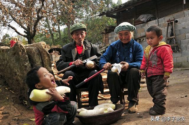 何鸿燊帝王面相解析:金木水火土，大家能否谈一谈“五行”的由来