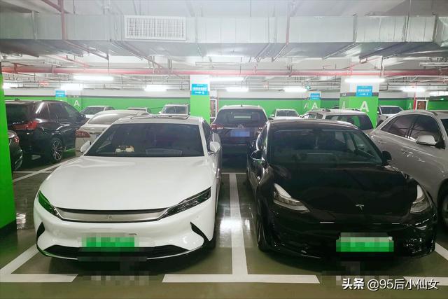 新能源汽车企业，中国未来的新能源汽车龙头会是谁