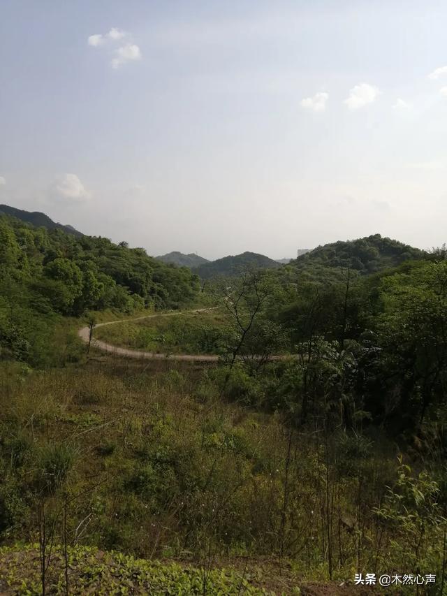 梦到和前任说话,总是梦到前任，要不要去找他？