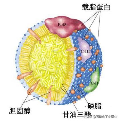 头条问答 