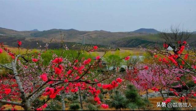 黄药师师承何处？