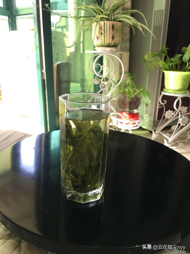 天天在家闷着,有什么好的方法调节一下情绪？