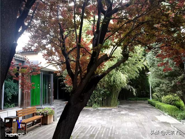 现在的抖音视频,照片拍摄,女生都喜欢长腿特效,不觉得比例失调吗,第9