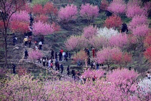 老师请帮忙合一首诗？