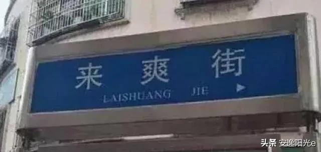 哥伦比亚盆地侏儒兔的个人空间:你见过哪些奇特的街名或巷名？