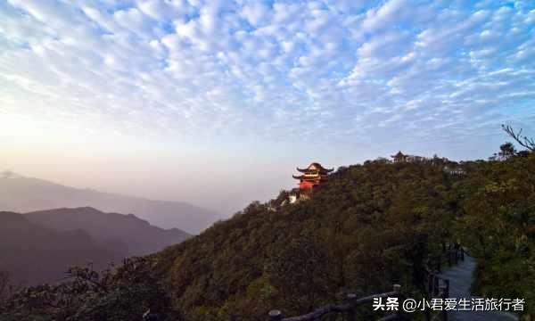 西伯利亚鼯鼠哪里有卖:全家人想去三亚旅游，行程应该如何制定？有哪些攻略推荐？