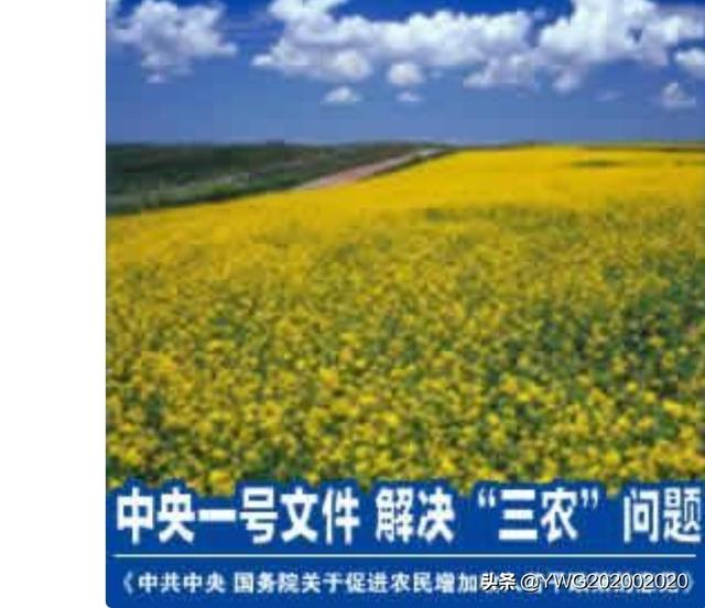 三农问题是什么？