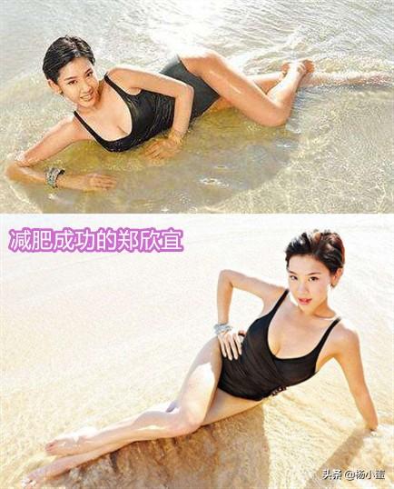 郑欣宜减肥方法:郑欣宜生活得怎样？有什么发展？