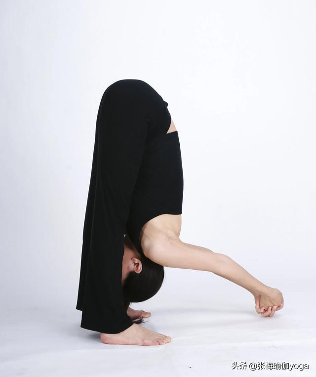 前屈体式瑜伽图片
