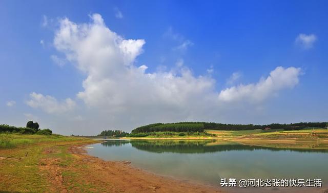 山西省羊驼养殖基地:现在羊驼价格怎样？羊驼的养殖前景与市场行情怎样？