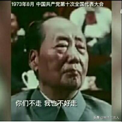 范德彪菜市场灵异事件:有没有谁的一句话让你直接泪目，能否分享一下？