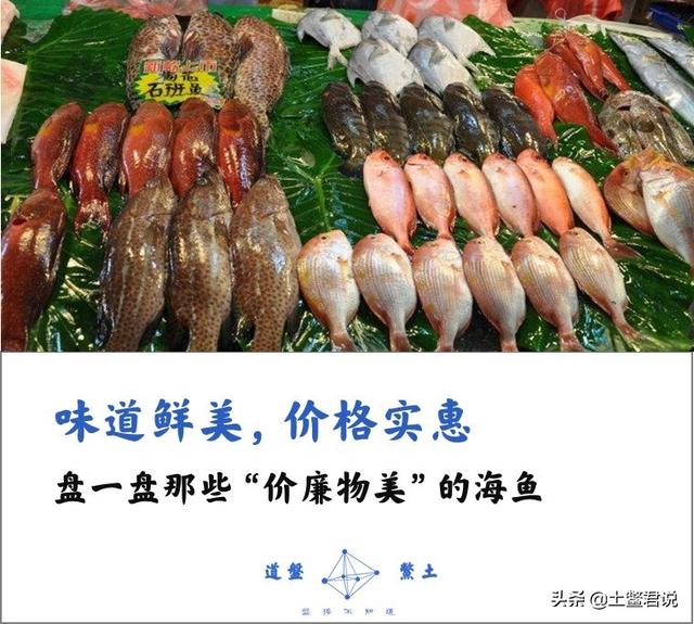 什么海鱼便宜又好吃呢？