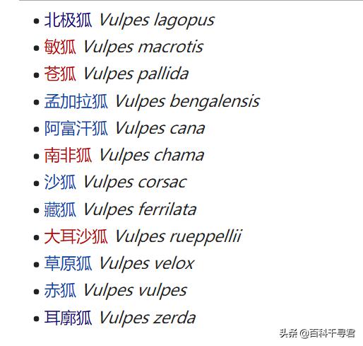 食蟹狐属:熊科动物与犬科动物在进化学上有关连吗？