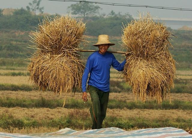 农民种地辛苦吗