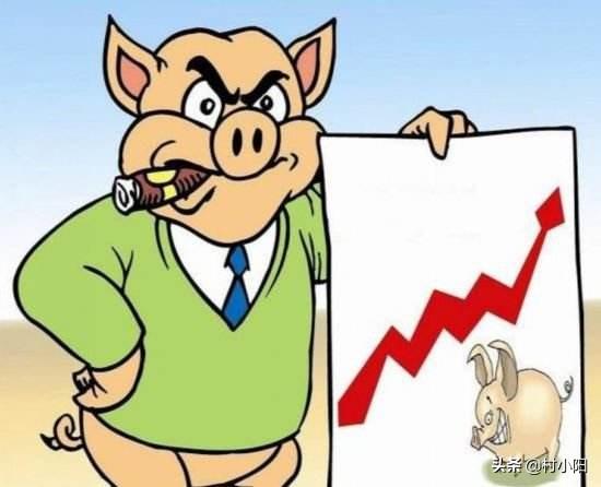 猪肉价格大涨了吗;猪肉价格年底会大涨吗