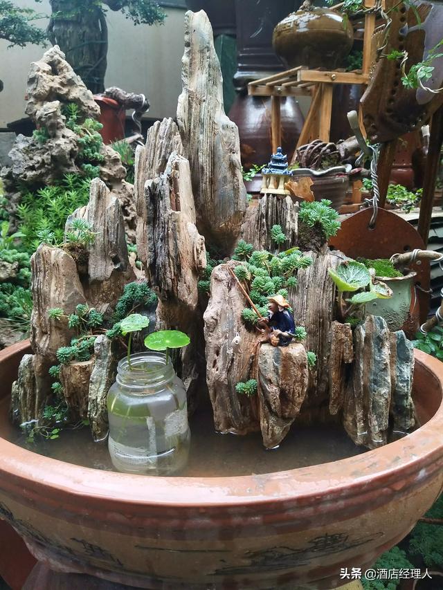 头条问答 - 你对岭南石山盆景了解多小呢?(11个回答)