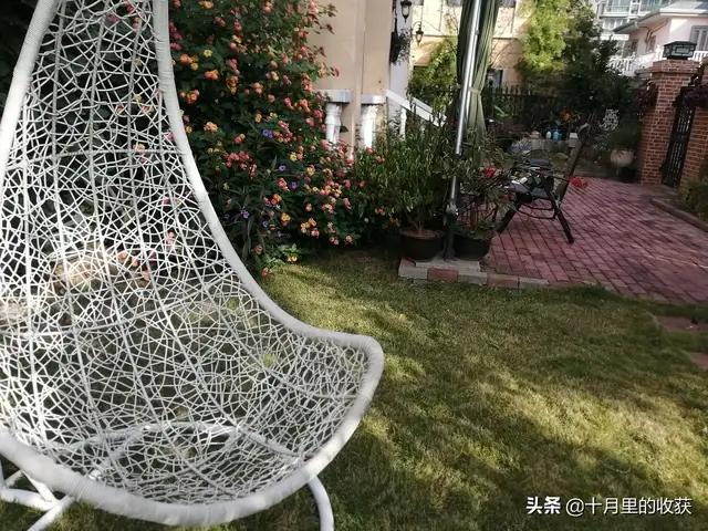 家住别墅是什么样的感觉？插图41