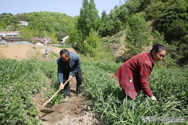 你感觉在农村幸福，还是城里幸福？插图18