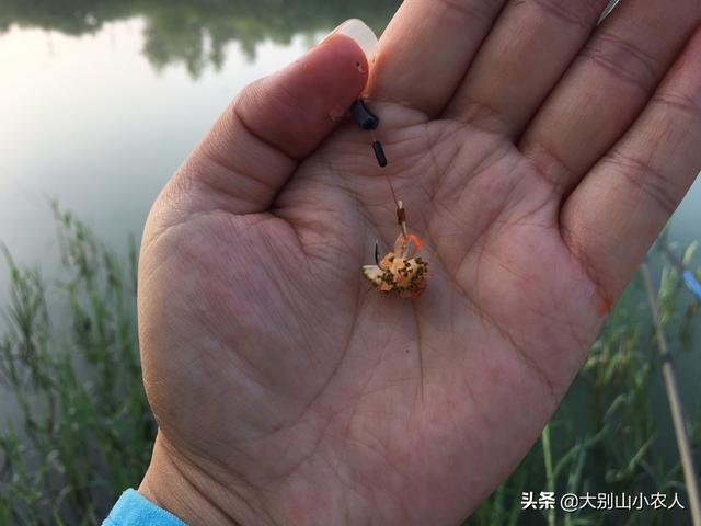 雷达鱼开口:雷达鱼开口饲料 钓鲫鱼时鲫鱼不开口，有人说与技巧和饵料有关，这是真的吗？