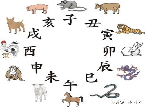 婚配时说属相不合的人,结婚后如何了？