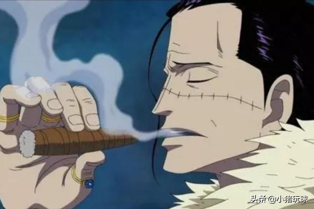 海贼王里面的红鼻子是什么动物:为什么有人说克洛克达尔是《海贼王》中的平头哥？