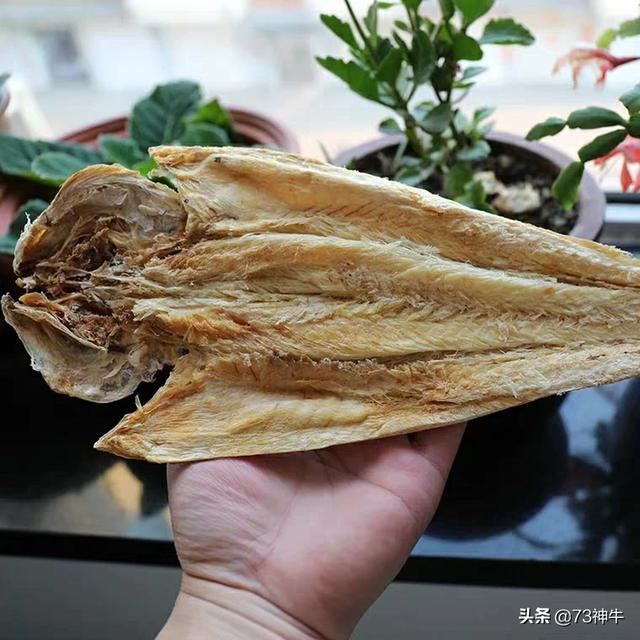 深海巨腹鱼在哪钓:深圳最流行的海钓是什么玩法？每次出钓费用大概多少？