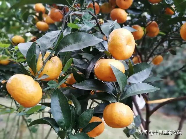 家住别墅是什么样的感觉？插图38