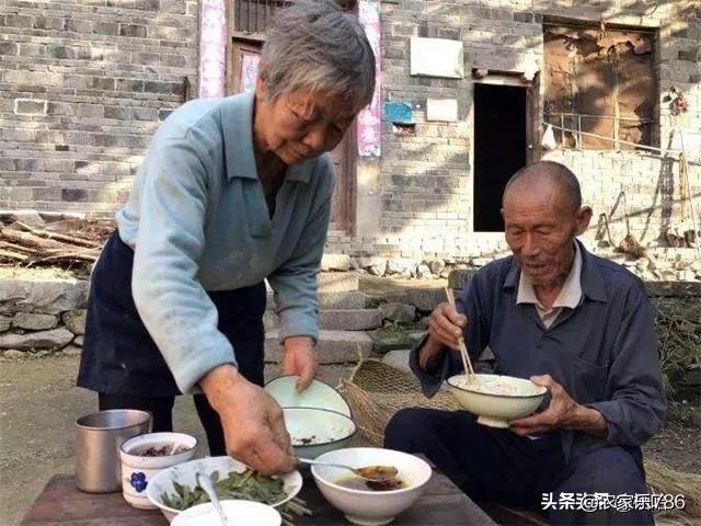 狗窝图片:狗窝图片 制作方法 父母七十多岁了，不喜欢在儿女家住，怎么回事？