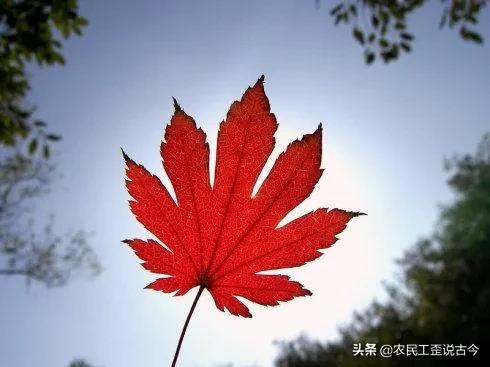 吴亦凡纹身:吴亦凡出狱后还能演电影和唱歌吗会有综艺节目和导演要吗