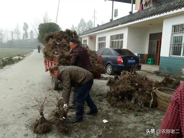 国外创业成功案例，在你们农村，你身边有哪些创业成功的，他们是做什么的