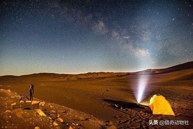 火星生命:火星上曾经有生命存在过吗？
