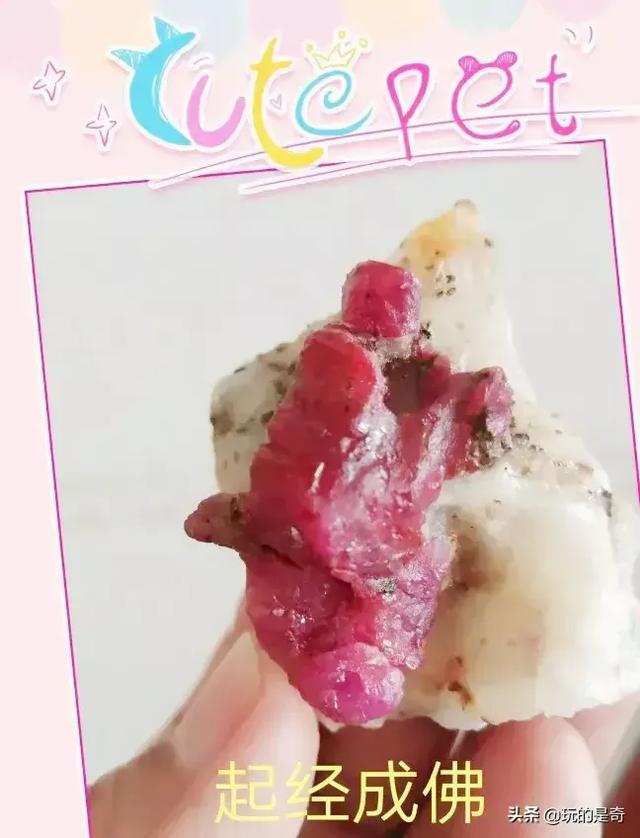 天然大化石原石图片,中国最具影响力的天然奇石有哪些？