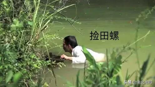 田螺有何用处？除了夏天有人吃,邻居每天捞几百斤,不知道卖给谁？