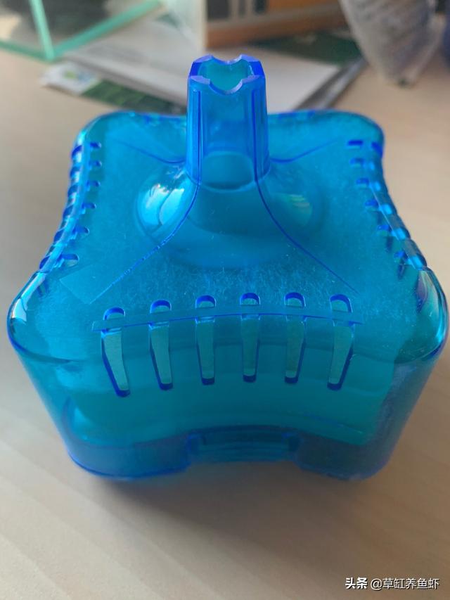 养观赏鱼的过滤方法有哪些:小鱼缸饲养观赏鱼，哪种过滤形式比较好，首选一定是外挂过滤吗？