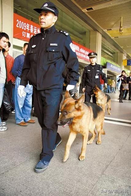 报告狗班长被咬:作为一名警察，被警犬咬过是一种什么样的体验？