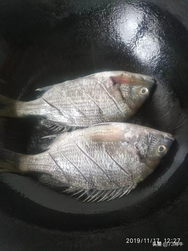 海水梭鱼图片:海水梭鱼的钓法 在街边买的鱼，吃起来有一股煤油的味道，这是为什么？还能吃吗？